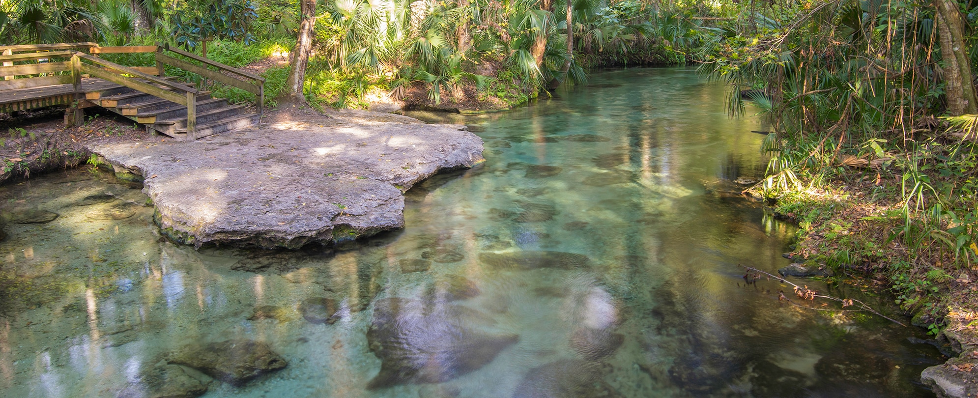 A clear natural spring in Orlando, Florida.